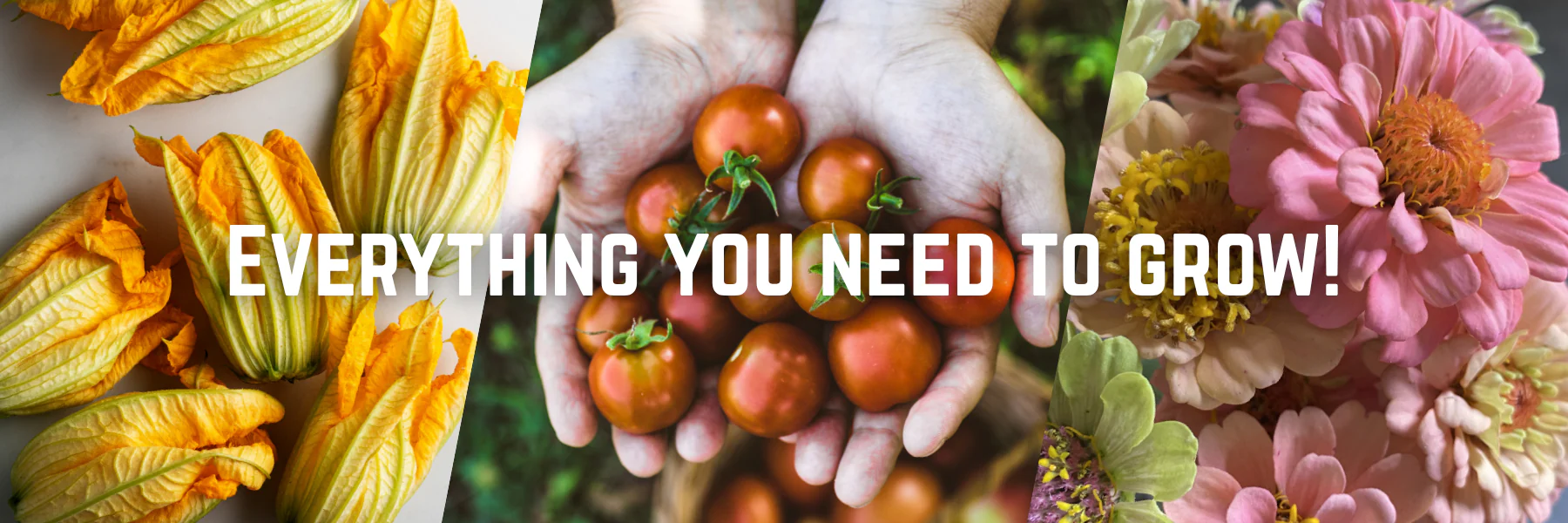 Rooted in Quality Since 1919