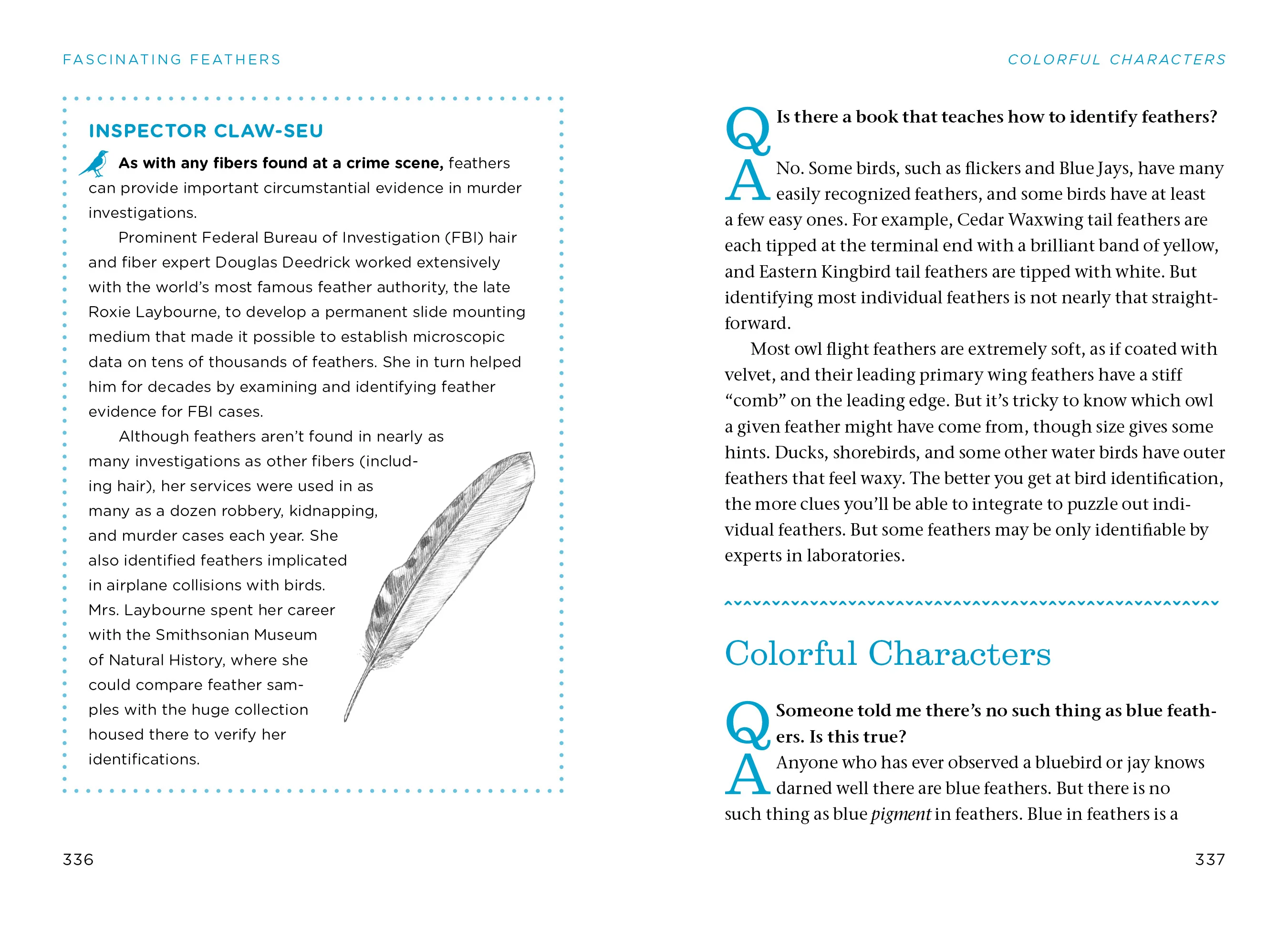 Bird Watching Answer Book - Image 5