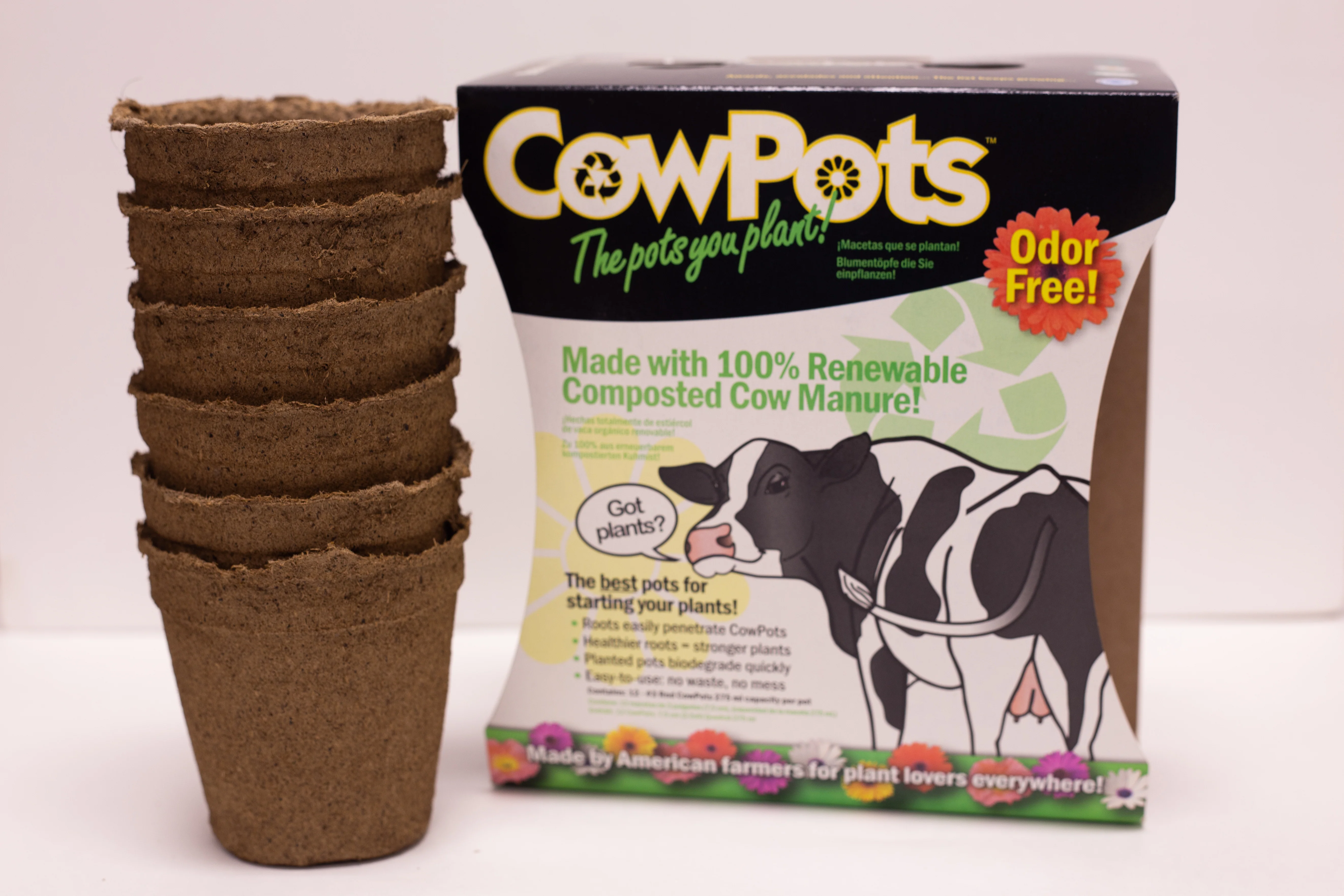 CowPots 3" Round (12ct) - Image 3