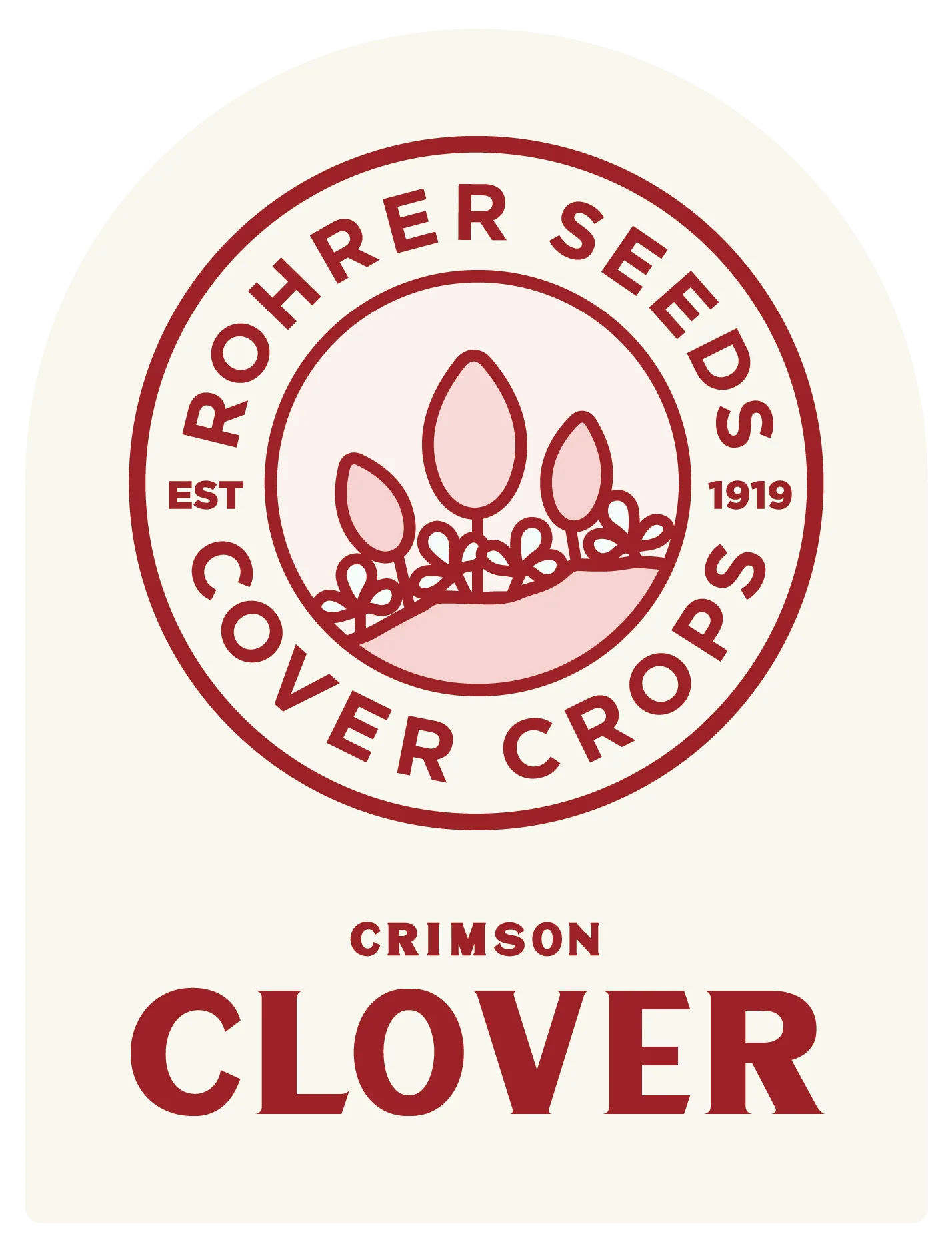 Crimson Clover Seeds - Image 5