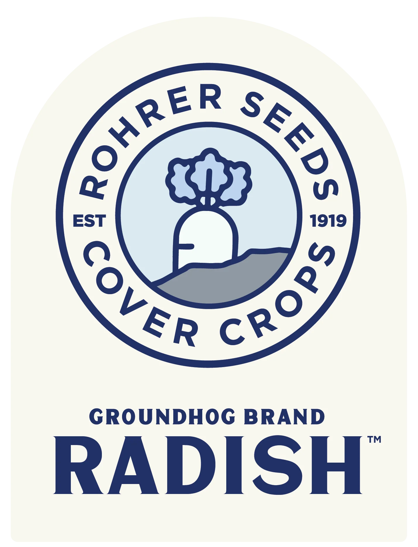 Groundhog Radish, Cover Crop Seeds - Image 3