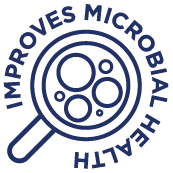 Groundhog Radish, Cover Crop Seeds - Image 6