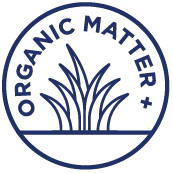 Groundhog Radish, Cover Crop Seeds - Image 7