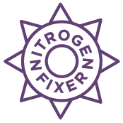 Hairy Vetch Seeds - Image 5