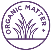 Hairy Vetch Seeds - Image 6