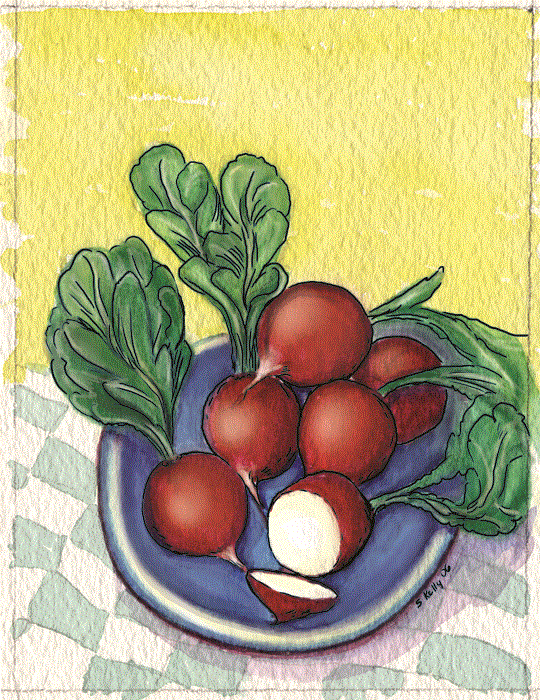 Organic Radish Seeds - USDA Cherry Belle (250 Seeds) - Image 4