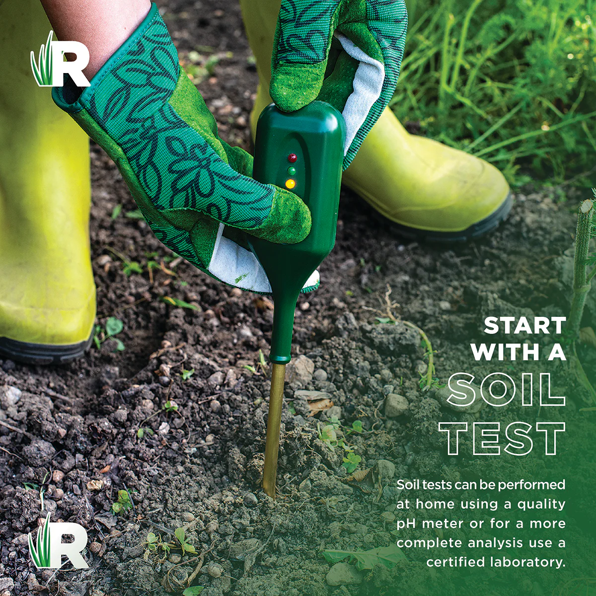 Fancy Turf Grass Seed Mix - Image 8