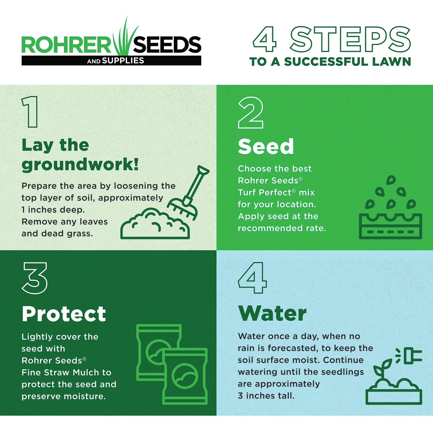 Low Maintenance Grass Seed - Image 3