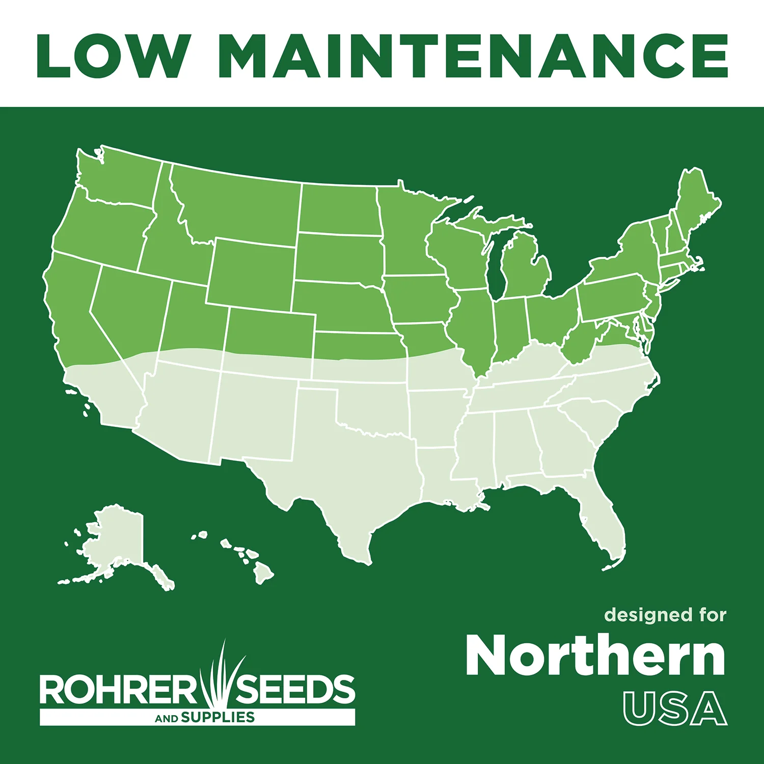 Low Maintenance Grass Seed - Image 4