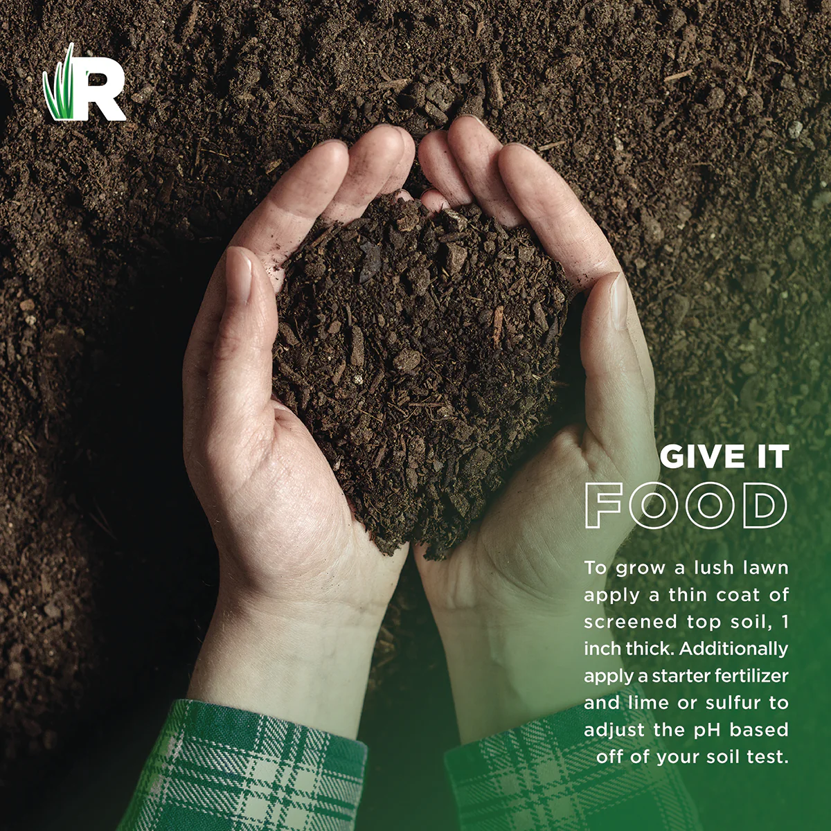 Low Maintenance Grass Seed - Image 6