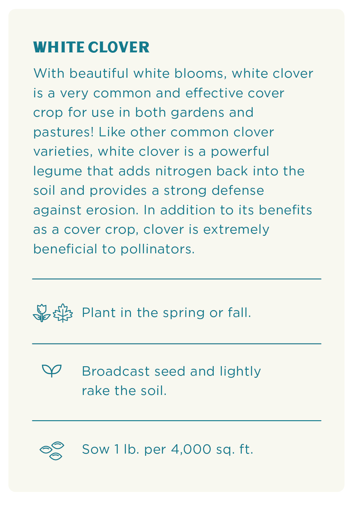 Rohrer Seeds White Clover Seed (1 LB) - Image 6