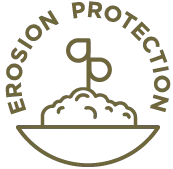 Yellow Blossom Sweet Clover Seed - Image 5